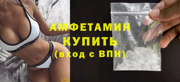 индика Осташков