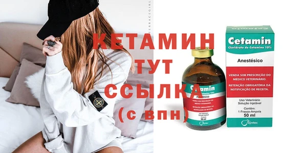 индика Осташков