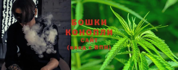 индика Осташков