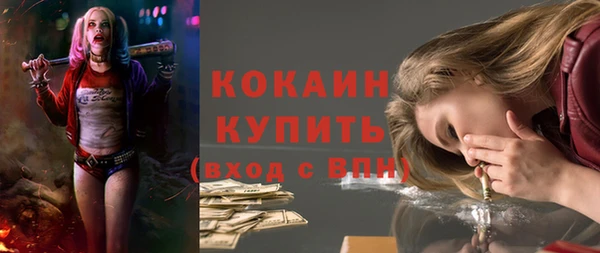 шишки Остров