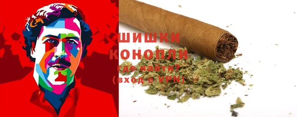 гидра Осинники