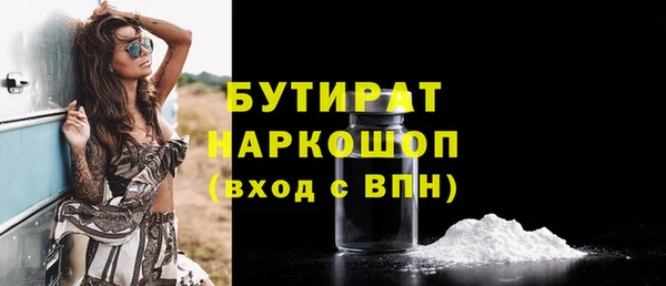 индика Осташков