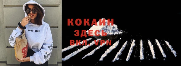 mdpv Киселёвск