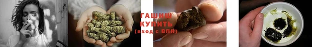 шишки Остров
