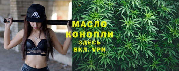 гидра Осинники