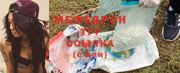 индика Осташков