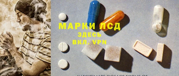 сатива Кирсанов