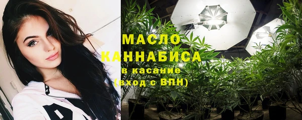 индика Осташков