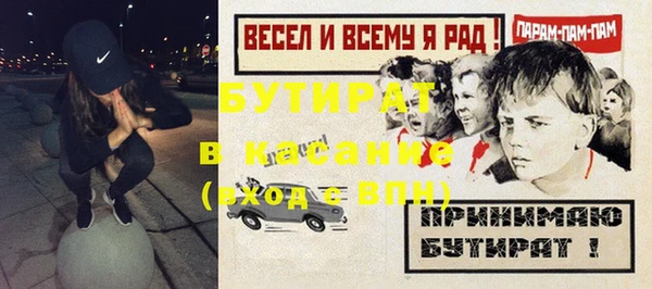 индика Осташков