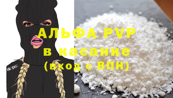 индика Осташков