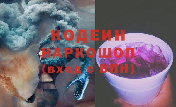 индика Осташков