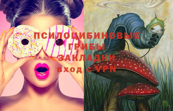 гидра Осинники