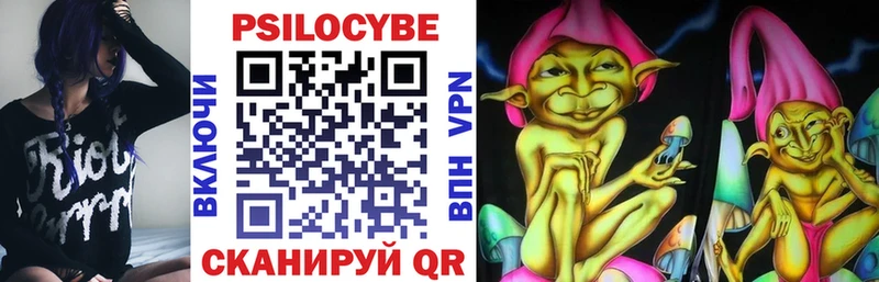 Псилоцибиновые грибы Psilocybe  Себеж 